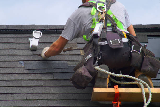 Best Roof Gutter Cleaning  in Comfort, TX